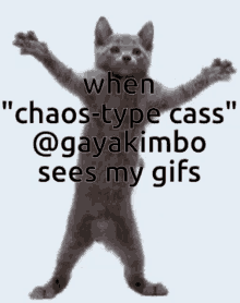 big chungus oh nana cat when chaos type cass cute