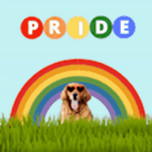 Dog Rainbow GIF - Dog Rainbow Pride GIFs