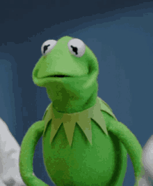 Last Day Kermit The Frog GIF