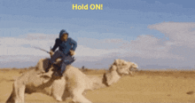 Humpday Halfway To Friday GIF - Humpday Halfway To Friday GIFs