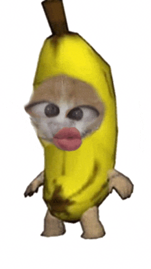 a cat dressed in a banana costume with a red lip