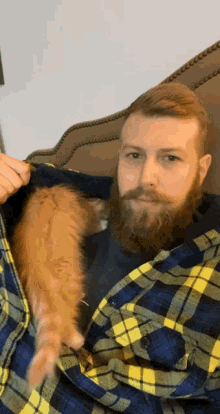 Sweatshirt Cat GIF