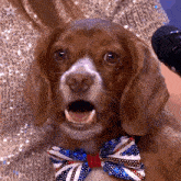 Dog Singing Mouse GIF - Dog Singing Mouse Britain'S Got Talent GIFs