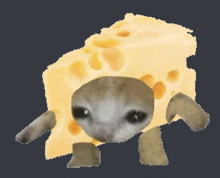 Cheese Cat Sad GIF