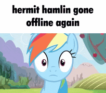 hermit hamlin gone offline again with a rainbow dash
