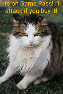 a cat is laying in the grass with the words " its on game pass i 'll attack if you buy it "