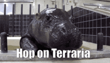 Terraria Hop On Terraria GIF - Terraria Hop On Terraria GIFs