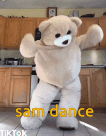 Samdance Dancesam GIF - Samdance Dancesam Samm GIFs
