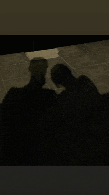 a shadow of two people standing next to each other on a tile floor