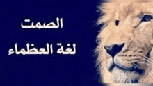 a close up of a lion 's face on a blue background with arabic writing on it .