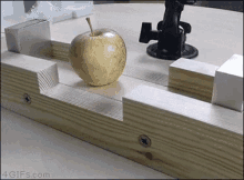 магнит против яблока GIF - Magnet Apple Physics GIFs