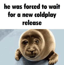 Coldplay He Was Forced To GIF - Coldplay He Was Forced To Seal GIFs