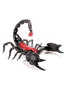 Scorpion Stinger GIF - Scorpion Stinger Scorpio GIFs