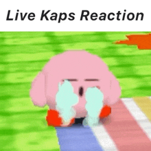 Kaps Kirby GIF - Kaps Kirby Crying GIFs