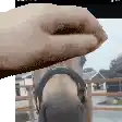 a pixelated image of a person holding a horse 's nose .