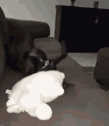 GIF
