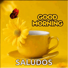 a yellow cup of coffee with a yellow flower and a butterfly says good morning