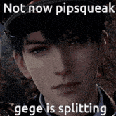 a picture of a man with a caption that says " not now pipsqueak "
