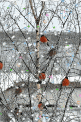a tree with birds sitting on it and snow falling