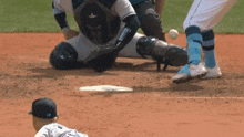 Boston Red Sox Connor Wong GIF