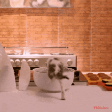 Food Cat GIF - Food Cat Pelikulove GIFs