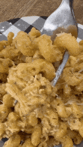 Garlic Parmesan Chicken Pasta Food GIF