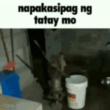 Filipino GIF - Filipino GIFs