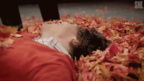 Harry Styles rolling in a pile of autumn leaves