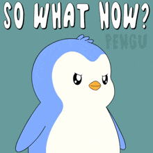 a blue and white penguin with the words so what now penguin below it