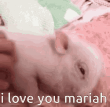 i love you mariah i love mariah
