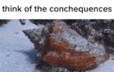 Chonch Conchequences GIF - Chonch Conchequences Shrimple GIFs