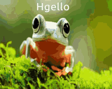 Hgello GIF - Hgello GIFs