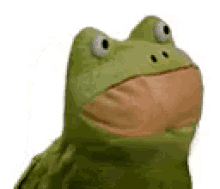 Frog Lol GIF - Frog Lol Funny GIFs