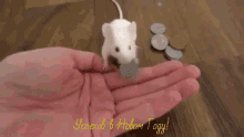 Happy Ny Rat GIF - Happy Ny Rat Coins GIFs