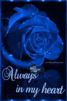 Blue Rose Always GIF - Blue Rose Rose Always GIFs