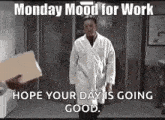 Monday Angrycat GIF - Monday Angrycat Mondaymood GIFs