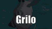 Some Army Grilo GIF - Some Army Grilo Laugh GIFs