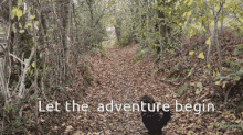 Let The Adventure Begin Through The Woods GIF - Let The Adventure Begin Through The Woods GIFs