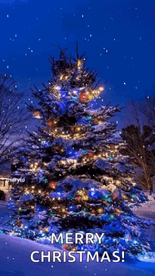Snow Christmas Tree GIF