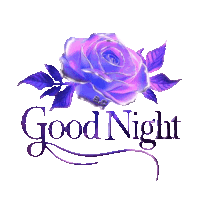 a purple rose is surrounded by the words " good night "