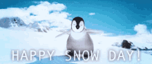 Happy Snow Day Penguin GIF - Happy Snow Day Penguin Happy GIFs