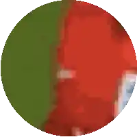 a green circle with a red circle in the center