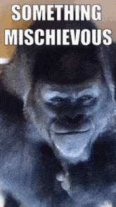 a picture of a gorilla with the words something mischievous on it