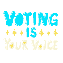 voting is your voice voting is your right voting is your power powerful right to vote