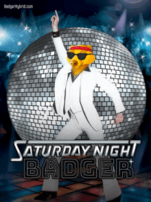 Baywatch Badgers Badger GIF