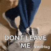 a person is kicking a dog with the words " dont leave me viralhog " written on the bottom