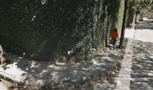 Google Street GIF - Google Street Fall GIFs