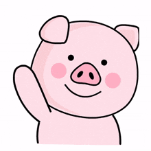 pig animal pink cute hi