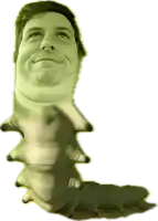 a caterpillar with a man 's face on it 's back