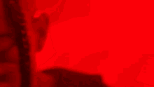 a man in a suit is standing in front of a red background .